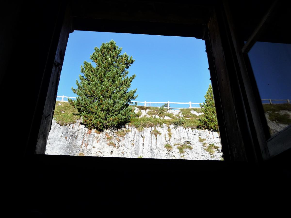 Spaces Hotel San Vigilio Di Marebbe Exterior foto